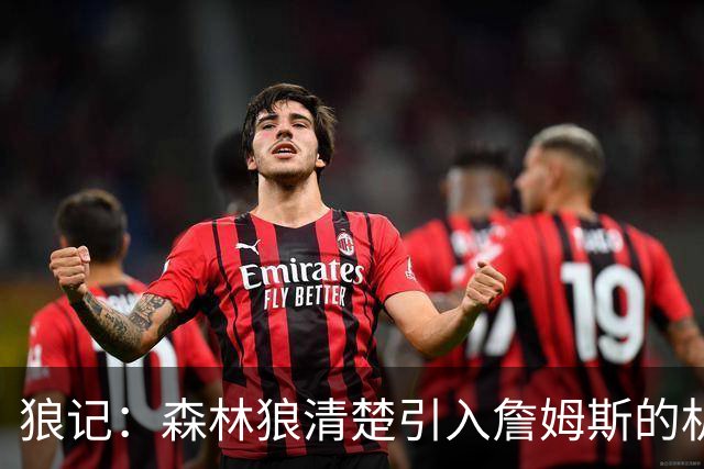 狼记：森林狼清楚引入詹姆斯的机会微乎其微 但他们积极主动招募